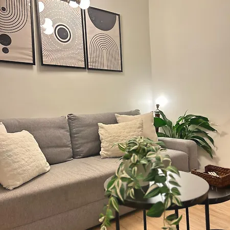 Le Patio Riquet Appartement Toulouse