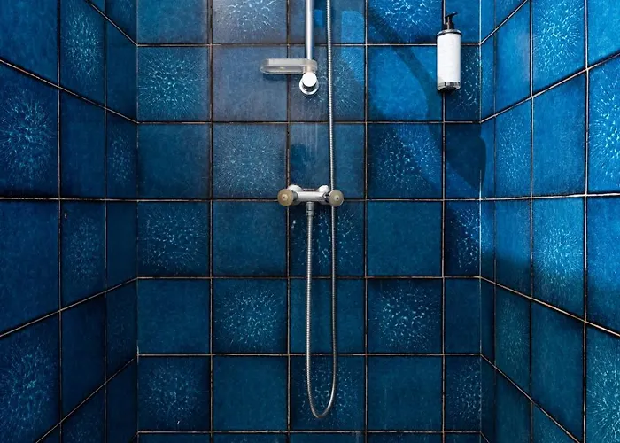 Le Patio Riquet Appartement Toulouse